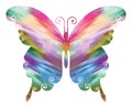 Beautiful butterfly colored with blended bright soft toned colors with diagonal pattern Royalty Free Stock Photo