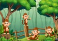 A group of monkeys inside the wooden fence