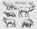 A set of figures and silhouettes of wild forest animals in a graphic vintage design. Mammalian elements on an isolated backgr