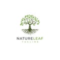 Root Of The Tree logo illustration. Vector silhouette of a tree. Royalty Free Stock Photo