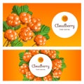 Banner with Cloudberry on orange background. Design with place for text.