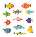 Cute fish. Different kinds of fish, vector