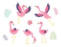 5 cute flamingos