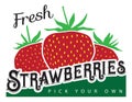 Fresh strawberries sign for a farm stand or farmers market