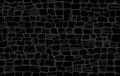 Reptile surface monochrome croc leather texture. Crocodile skin pattern. Animal background for printing.