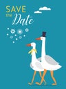 Save the date card design. Couple of cute white gooses. Royalty Free Stock Photo