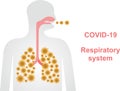Coronaviruses effect on Human Respiratory system and lungs, Coronavirus banner design with infected lungs and Respirat