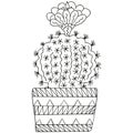 Black and white stylized flowering Parodia cactus with thorns and flower in a patterned pot.