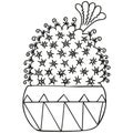 Black and white Mammillaria bocasana with flower from above growing in a pot. Cactus for coloring book, graphic design. Single suc