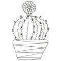 Stylized black and white Astrophytum ornatum cactus with a blossoming flower in a pot. Isolated doodle. Indoor succulent. Royalty Free Stock Photo