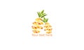 Creative Geometric Pineapple gold icon