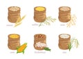 Set of different cereal grains in bags isolated on a white background.