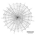 Simple spider web