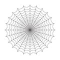 Simple spider web