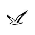 gull silhouette, albatross bird logo