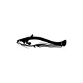 Catfish icon, fishing logo