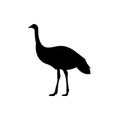 Emu bird silhouette Royalty Free Stock Photo