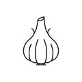 Garlic icon food logo