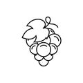 Grape line Icon Food Fruits Outlined silhouette