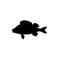 Perch fish silhouette icon. fishing logo