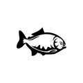 Piranha fish logo design Royalty Free Stock Photo