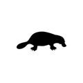 Platypus isolated sketch, duckbill animal, Australian symbol vector. Wild species with fur, beak and flippers