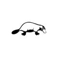 Platypus isolated sketch, duckbill animal, Australian symbol vector. Wild species with fur, beak and flippers