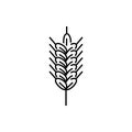 Wheat Ears Icons and Logo Royalty Free Stock Photo