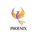 Phoenix illustration logo vector. phoenix logo template.