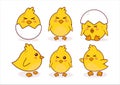 Set of cute chick expression design illustration cartoon Royalty Free Stock Photo