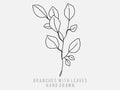 Printhand-drawn floral elements, plants and flowers. Isolated branches on a white background. Sketchy elements of design. Vector i