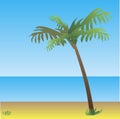 Palm tree on the blue beach backgound. Royalty Free Stock Photo