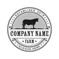 Retro Vintage Cattle Angus logo design template, cow farm logo design