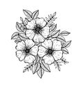 Doodle floral pattern in black and white. Page for coloring book: very interesting and relaxing job for children and adults