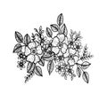 Doodle floral pattern in black and white. Page for coloring book: very interesting and relaxing job for children and adults