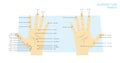 Acupuncture points Hands Manga Cartoon Vector Illustration