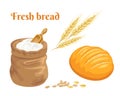 Fresh bread, golden ears of wheat and a sack of flour. Vector illustration Royalty Free Stock Photo