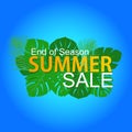 End of season summer sale vector illustration for poster promotion Royalty Free Stock Photo