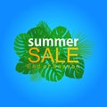 Poster promotion with tropical leaf summer sale end of season Royalty Free Stock Photo