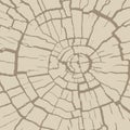 Cracked wood texture, radial cross section. Wooden cut of a tree log. Pattern of cracks on an old stump. Vector background Royalty Free Stock Photo