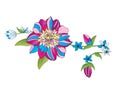 Graphic of a string of blue, fuchsia flowers