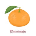 Mandarin or tangerine isolated on white background. Orange citrus with green leaf.