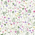 A seamless flral pattern with meadow flowers