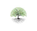 Tree and roots vector, tree with round shape Royalty Free Stock Photo