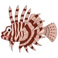 Cartoon scorpion fish isolated on white background Royalty Free Stock Photo