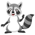 Cartoon happy raccoon isolated on white background