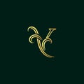 Elegant and luxury initial line Y Royalty Free Stock Photo