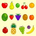 Fruits set in Color