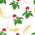 Seamless pattern with ginseng root and plant with green leaves. Royalty Free Stock Photo