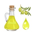 Olive oil in glass bottle, branch of olives with green leaves and dro Royalty Free Stock Photo